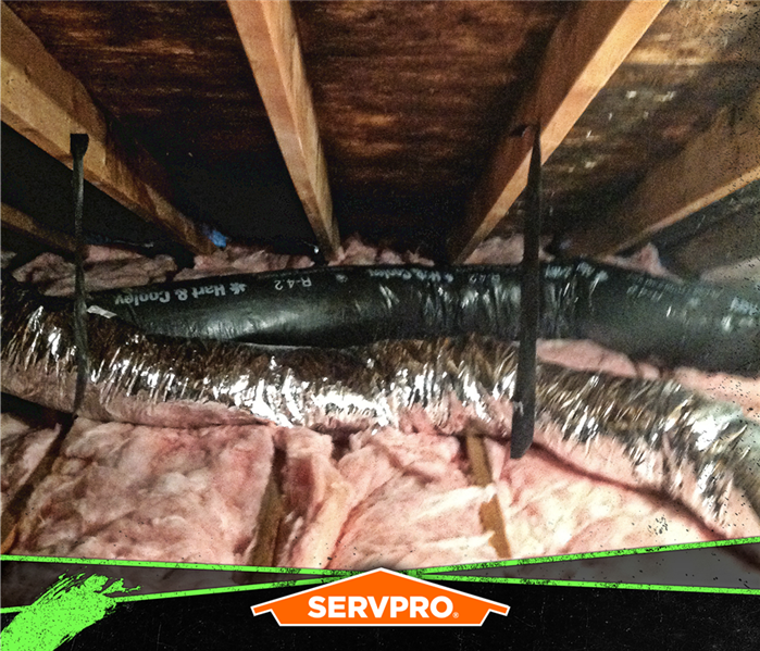 mold in attic roofing
