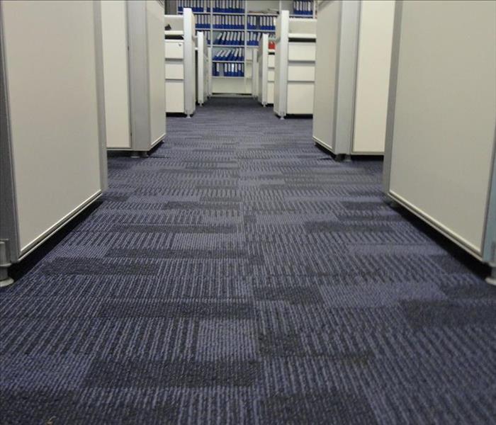 office cubicles, fresh carpet tiles