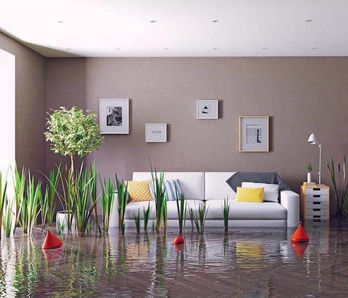 Couch in flooded living room
